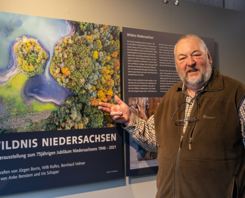 Ausstellung Wildnis Niedersachsen