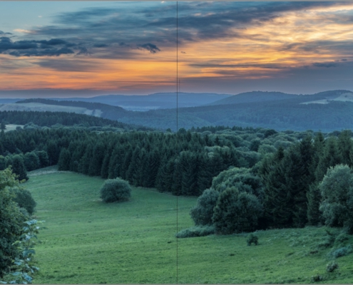 NATUR und Kanonendonner Buch NATUR und Kanonendonner