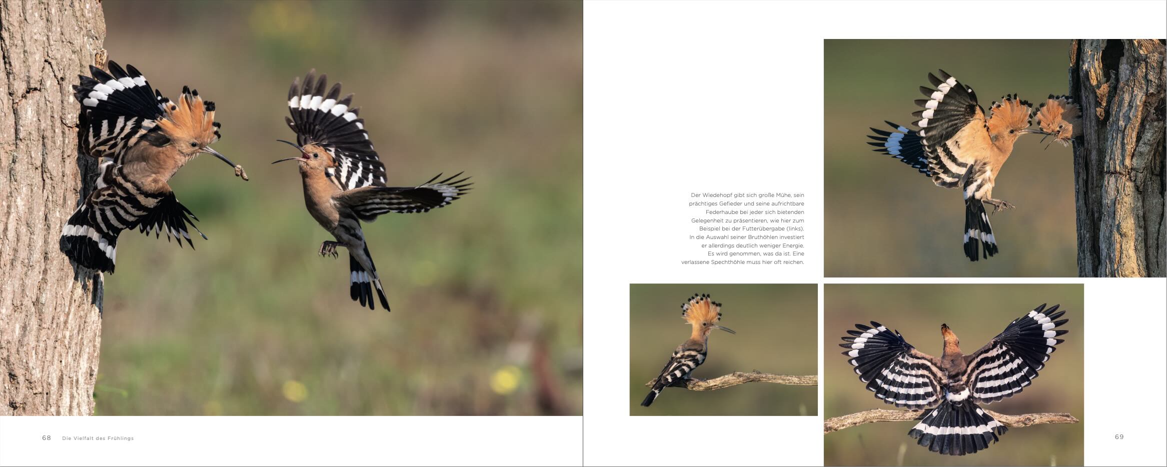 NATUR und Kanonendonner Buch NATUR und Kanonendonner