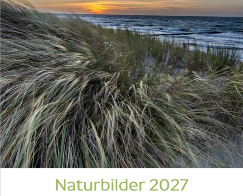 Tischkalender_2027