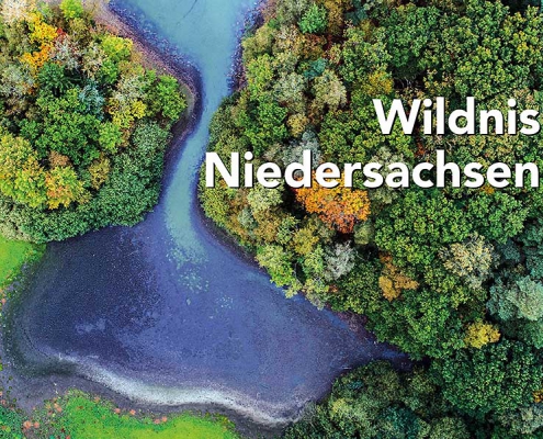 Wildnis Niedersachsen