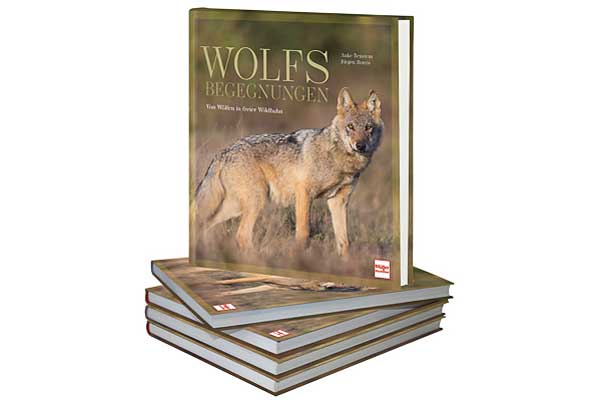 Buch Wolfsbegegnungen